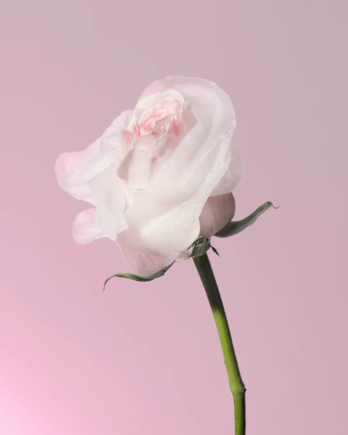 Rose Brightening Moisture Mask 5s